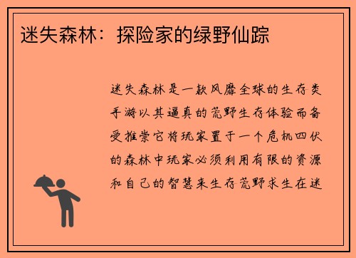 迷失森林：探险家的绿野仙踪